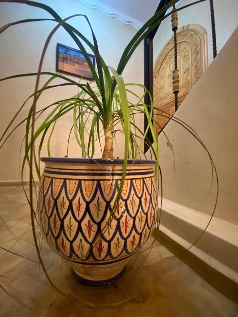Dar Diafa Samira Apartment Mirleft Luaran gambar